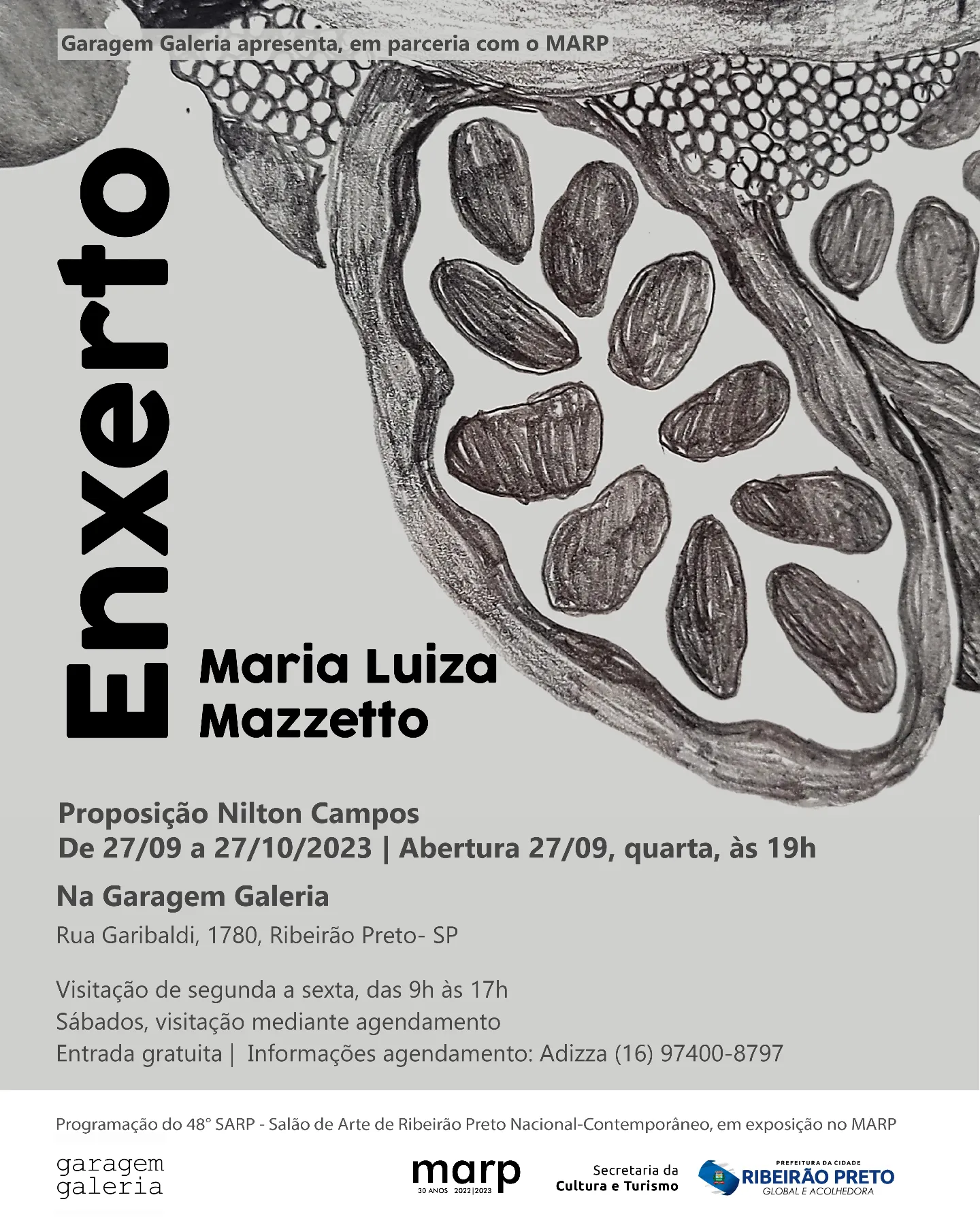 Enxerto