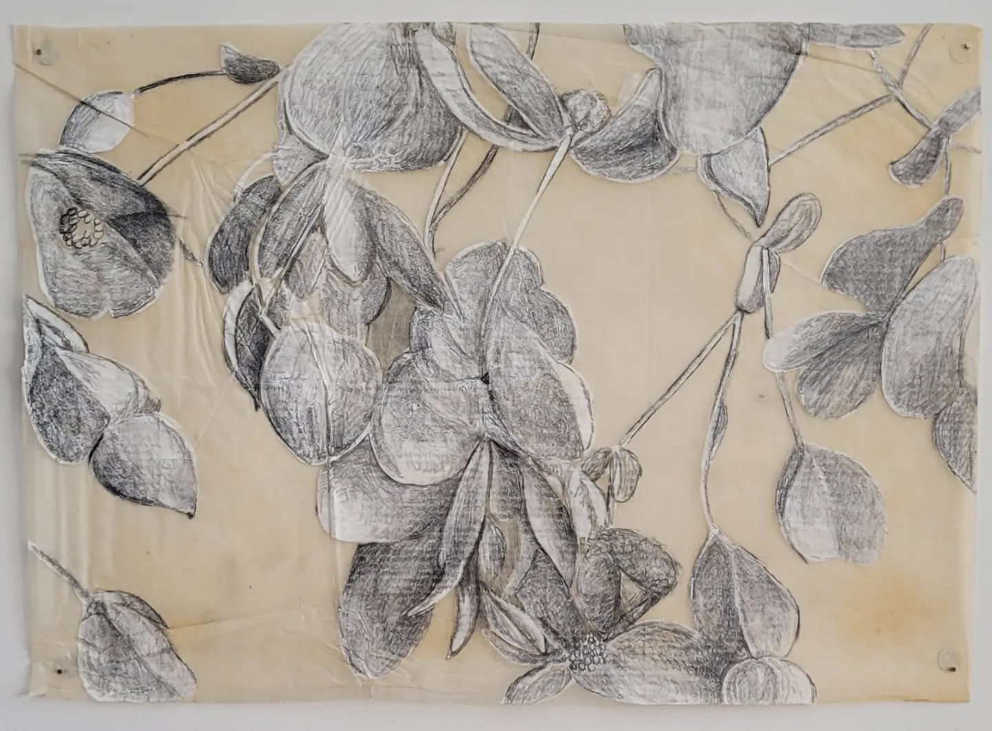Rejane Tannous — Sem título 3